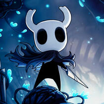 hollow knight